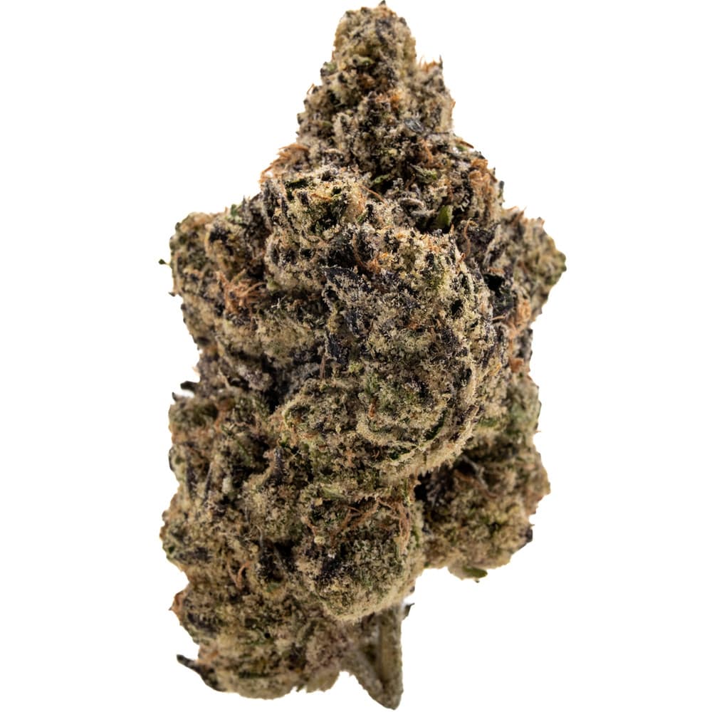 Lemon Pop — Sativa